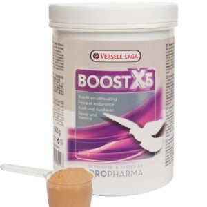 VL Boost x5
