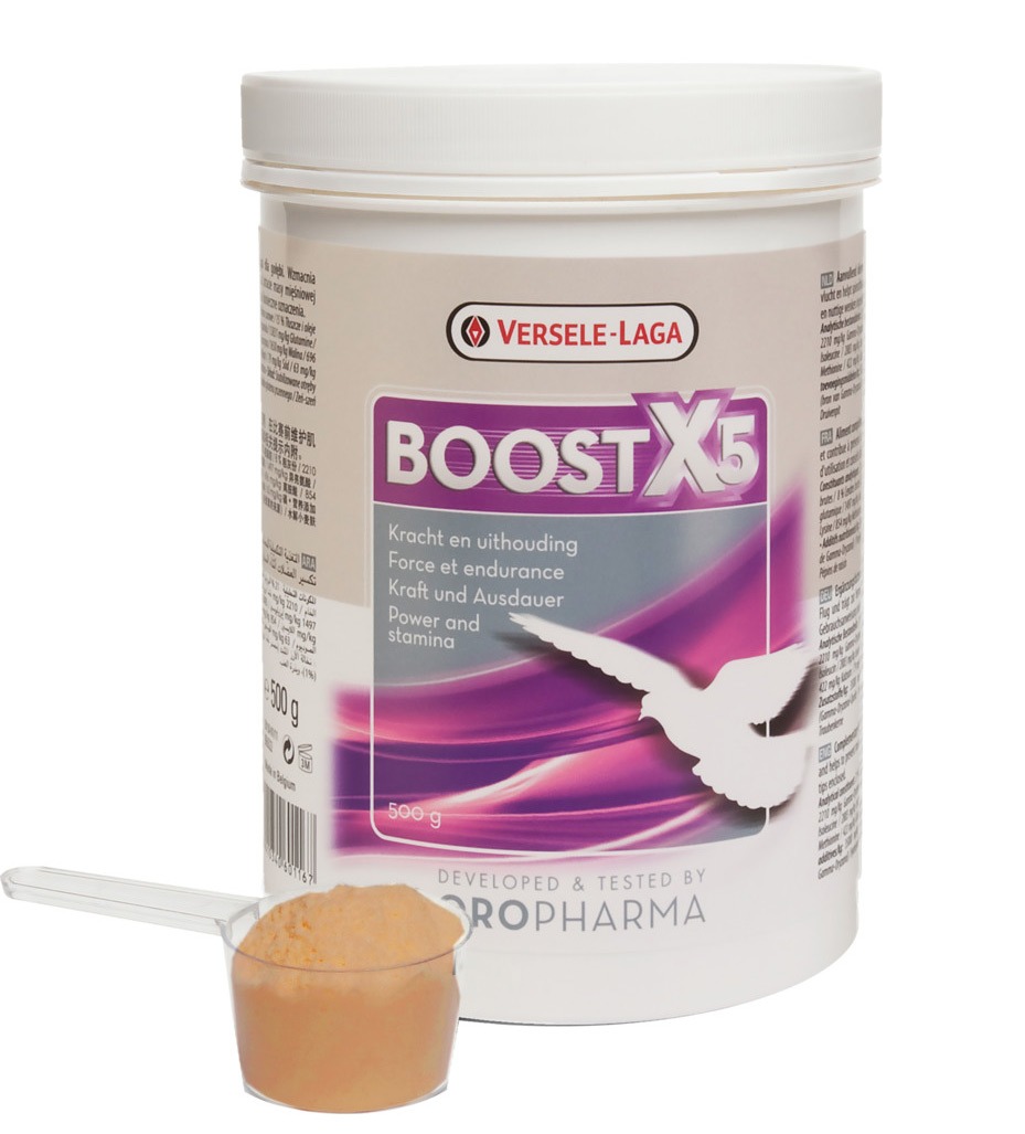 VL Boost x5