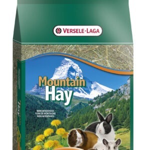 VL Mountain Hay Dandelion