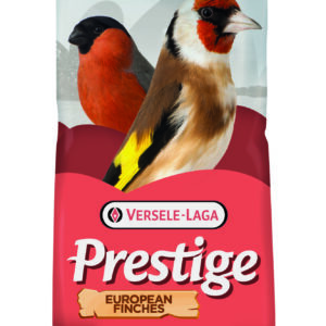 (Discontinued) VL European Finches Breed Without Rapes