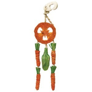 Boredom Break Carrot Dream Catcher x3