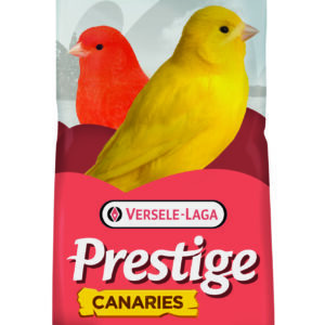 (Discontinued) VL Canary Light Prestige