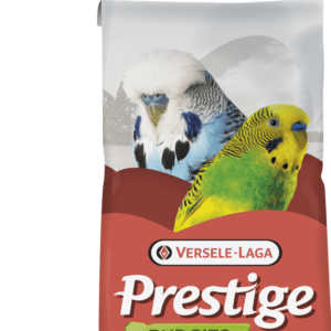 VL Budgie Jo Mannes Euro-Champ Prestige