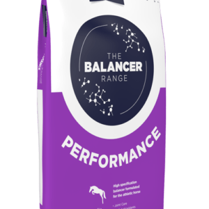PERFORMANCE BALANCER