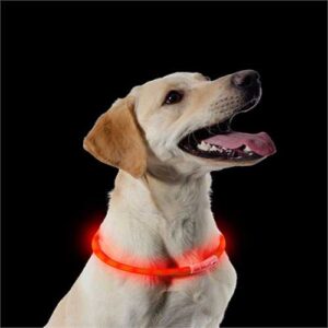 This great Ancol USB Rechargeable Flashing Dog Collar Band is a big help in keeping your canine friend safe on dark evening walks.