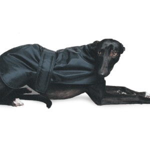 (Discontinued) Ancol Greyhound Coat Black