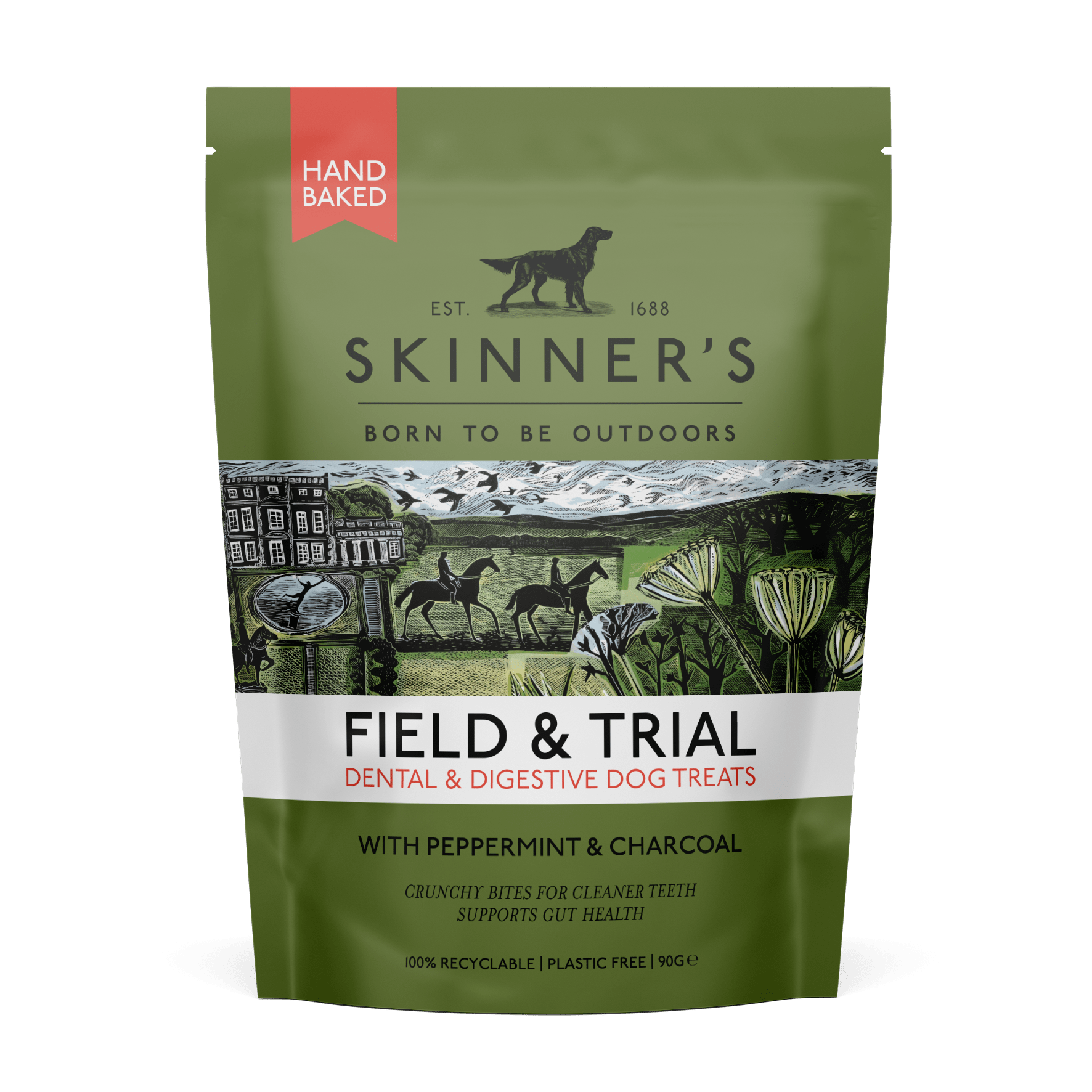 (Discontinued) Skinners F&T Dental & Digestive 8x90g