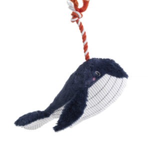 HOP Under the Sea Blue Whale