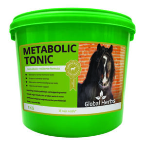 Global H Metabolic Tonic