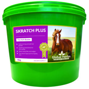 Global H Skratch Plus