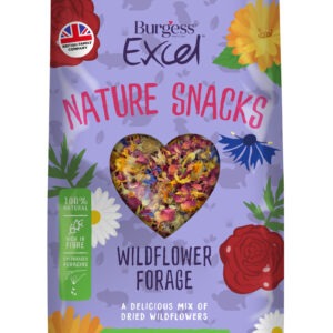 Burgess Excel Nature Snacks Wildflower Forage 6 x 75g