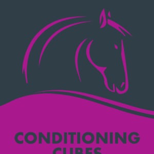 Harlequin Conditioning Cubes