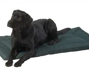 Green Water Resistant Crate Mat