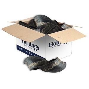 Hollings Plain Hooves x25