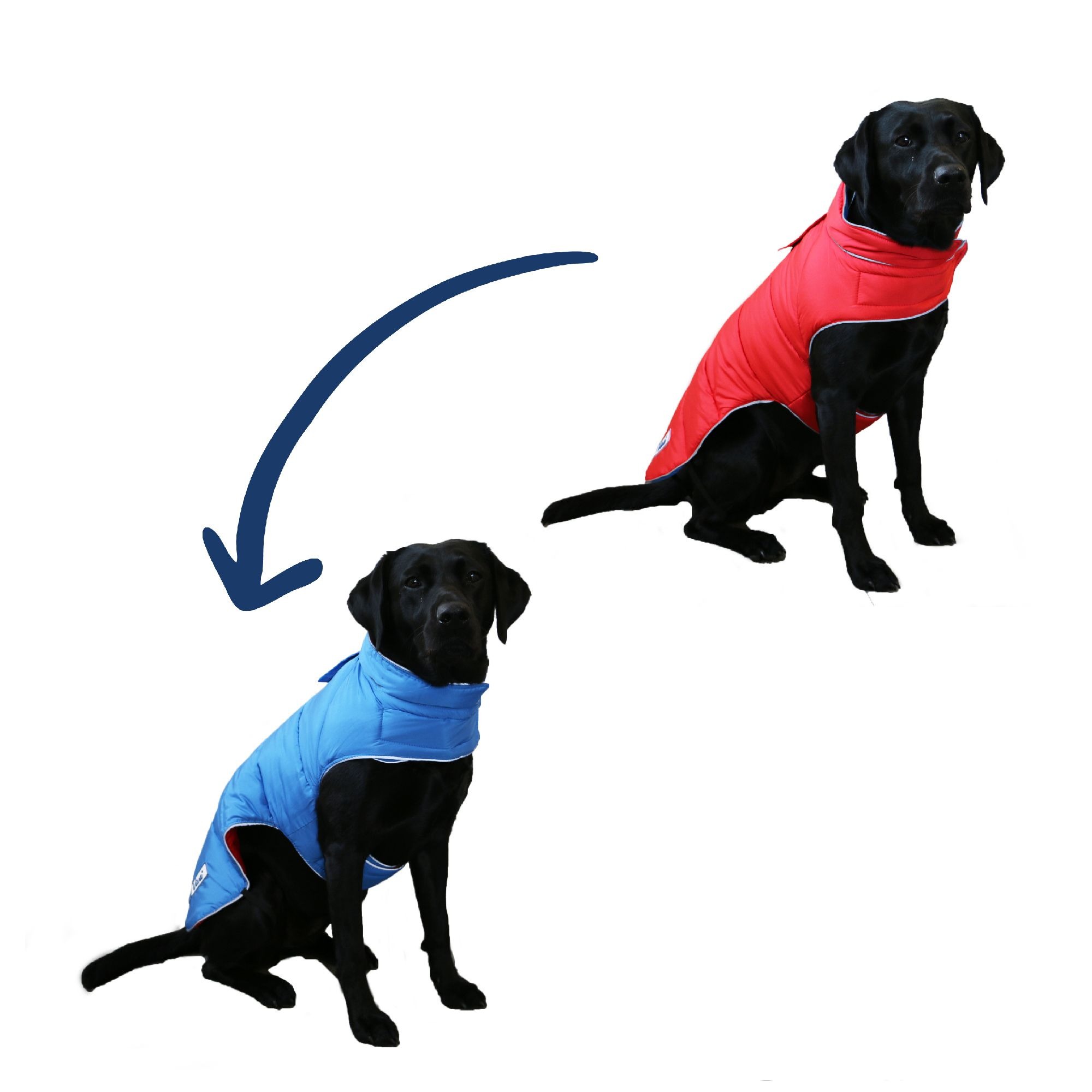 Ancol Viva Revers Coat Red/Blue 60cm