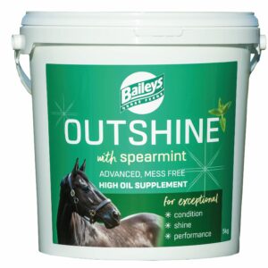 Baileys Outshine Spearmint 5 kg