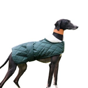 Ancol Muddy P Quilt Hound Coat XXL
