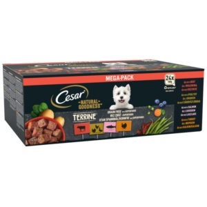 (Discontinued) Cesar Tray Nat Good Mix Lf 24x100g