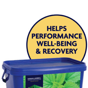D & H Nettle 1 kg