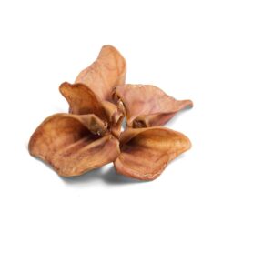 Nova Dog Chews Pig Ears Medium 50 Box