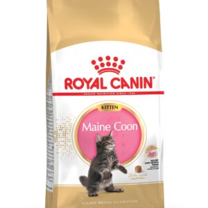 (Discontinued) RC Maine Coon Kitten 2 kg