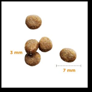 Iams Kitten Fresh Chicken 10kg